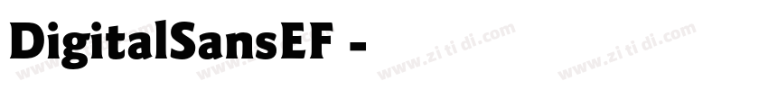 DigitalSansEF 字体转换